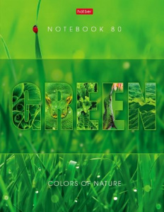 ЗАПИСНАЯ КНИГА А5 80Л "HATBER" ЗАПИСНАЯ КНИГА А5 80Л "HATBER"