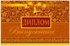 ДИПЛОМ ШКОЛА А5 ВЫПУСКНИКА 31866