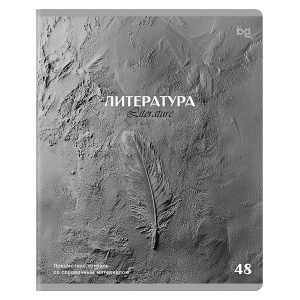 ТЕТРАДЬ ТЕМАТИЧЕСКАЯ 48 ЛИСТОВ "ПЕЧАТЬ ВРЕМЕНИ. ЛИТЕРАТУРА"