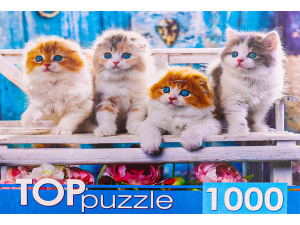 ПАЗЛЫ 1000 ЭЛЕМЕНТОВ