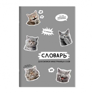 ТЕТРАДЬ ДЛЯ ЗАПИСИ ИНОСТРАННЫХ СЛОВ А6 24Л "СТИКЕРЫ С КОТАМИ"