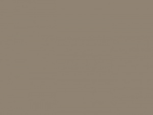 КАРТОН ЦВЕТНОЙ ПЛАКАТ 50*70 СМ 300 ГР/М2 "FOLIA" ШОКОЛАД