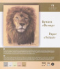 БУМАГА ВЕЛЮРОВАЯ VELOUR ДЛЯ ПАСТЕЛИ А3 10Л PALAZZO ВЕЛЮР 345*395