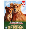 КНИГА ЭНЦИКЛОПЕДИЯ "ДЕТЕНЫШИ ЖИВОТНЫХ"