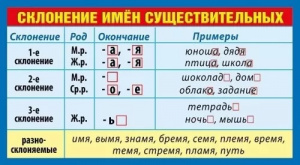 ОБУЧАЮЩИЕ КАРТОЧКИ "СКЛОНЕНИЕ ИМЕН СУЩЕСТВИТЕЛЬНЫХ"
