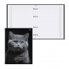 ТЕТРАДЬ НА КОЛЬЦАХ 160Л КЛЕТКА А5 "КОТ" 