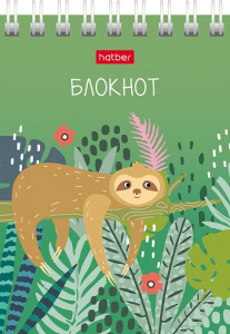 БЛОКНОТ А7 40Л НА ГРЕБНЕ "HATBER" АССОРТИ БЛОКНОТ А7 40Л НА ГРЕБНЕ "HATBER" АССОРТИ