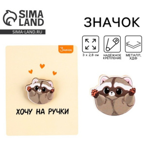 ЗНАЧОК "ХОЧУ НА РУЧКИ"