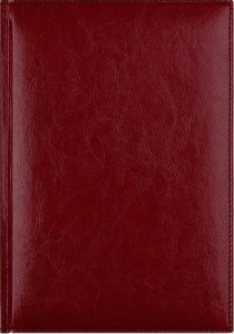 ЕЖЕДНЕВНИК A5 2025 BIRMINGHAM БОРДОВЫЙ