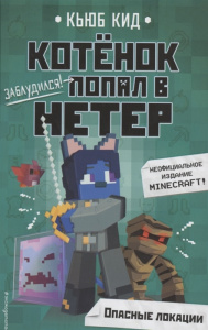 КНИГА MINECRAFT. КОТЕНОК ПОПАЛ В НЕТЕР. ОПАСНЫЕ ЛОКАЦИИ (#2)