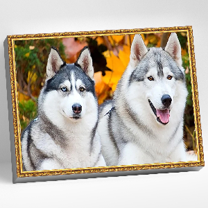 АЛМАЗНАЯ МОЗАИКА 40*50 СМ "ХАСКИ" 20ЦВ