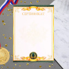 СЕРТИФИКАТ А4 УНИВЕРСАЛЬНЫЙ