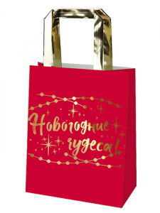 ПАКЕТ ПОДАРОЧНЫЙ 17,8*22,9*9,9 СМ "КРАФТ НОВОГОДНИЙ" ПАКЕТ ПОДАРОЧНЫЙ 17,8*22,9*9,9 СМ "КРАФТ НОВОГОДНИЙ"