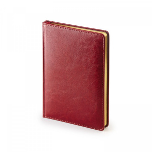 ЕЖЕДНЕВНИК А5+ "СИДНЕЙ.НЕБРАСКА" 136 ЛИСТОВ 145х205 ММ БОРДОВЫЙ