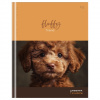 ДНЕВНИК ДЛЯ МЛАДШИХ КЛАССОВ "FLUFFY" 