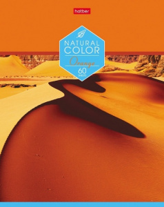 ТЕТРАДЬ 60Л КЛЕТКА "COLOR"