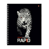 ТЕТРАДЬ 96Л КЛЕТКА "RAPID"
