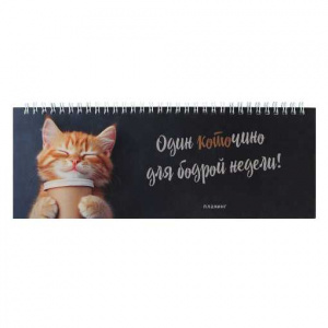 ЕЖЕНЕДЕЛЬНИК ГОРИЗОНТАЛЬНЫЙ 64Л "КОТЕНОК С КОФЕ"