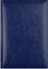 ЕЖЕДНЕВНИК A5 2025 BIRMINGHAM СИНИЙ
