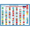 ПЛАКАТ ОБУЧАЮЩИЙ А2 "ФЛАГИ СУБЪЕКТОВ РФ"