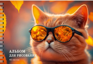 АЛЬБОМ Д РИСОВАНИЯ НА ГРЕБНЕ 40 ЛИСТОВ "КОТИК В ОЧКАХ" 
