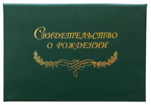ПАПКА АДРЕСНАЯ А5 "СВИДЕТЕЛЬСТВО О РОЖДЕНИИ" ЗЕЛЕНАЯ