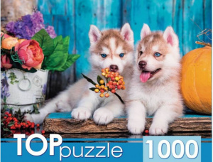 ПАЗЛЫ 1000 ЭЛЕМЕНТОВ