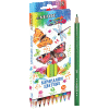 КАРАНДАШИ ЦВЕТНЫЕ "COSMO" 18 ЦВ