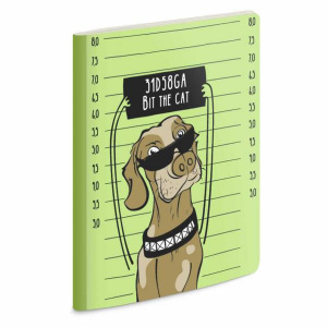 ЗАПИСНАЯ КНИГА А5+ 40Л ФЕНИКС 165*205ММ МЯГКИЙ ПЕРЕПЛЕТ