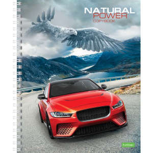 ТЕТРАДЬ  80Л КЛЕТКА "ECO. АВТОМОБИЛИ"