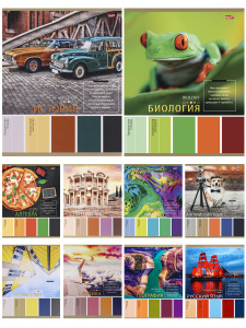 КОМПЛЕКТ ТЕМАТИЧЕСКИХ ТЕТРАДЕЙ 36Л PROFIT "PANTONE" 