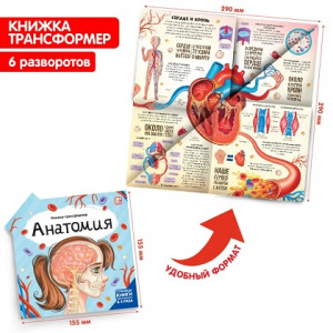 КНИГА-ТРАНСФОРМЕР ЭНЦИКЛОПЕДИЯ "АНАТОМИЯ"