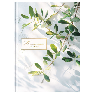КНИГА КАНЦЕЛЯРСКАЯ 7БЦ 120Л BG КЛЕТКА