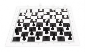 ИГРА ШАХМАТЫ