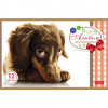 АЛЬБОМ ДЛЯ РИСОВАНИЯ НА СКОБЕ 12 ЛИСТОВ "SWEET PETS"  