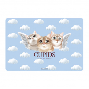ПОКРЫТИЕ НА СТОЛ А3 "CUOIDS" ПЛАСТИК 43*29СМ