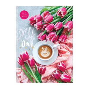 ЗАПИСНАЯ КНИГА NOTEBOOK А4 80Л "BG" ЗАПИСНАЯ КНИГА NOTEBOOK А4 80Л "BG"