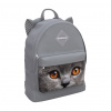 РЮКЗАК МОЛОДЕЖНЫЙ "ANIMALS GREY CATOSE" 39*29*13СМ 17L