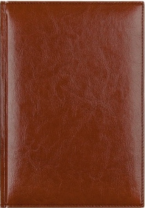 ЕЖЕДНЕВНИК A5 2025 BIRMINGHAM КОРИЧНЕВЫЙ