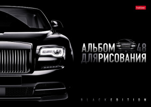АЛЬБОМ ДЛЯ РИСОВАНИЯ НА СКОБЕ 48 ЛИСТОВ "ЧЕРНАЯ СЕРИЯ" 
