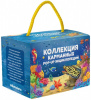 КНИГА "КОЛЛЕКЦИЯ КАРМАННЫХ POP-UP ЭНЦИКЛОПЕДИЙ. КОМПЛЕКТ №2"