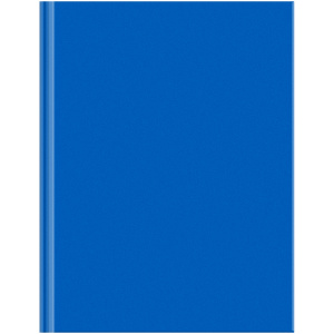 ЗАПИСНАЯ КНИГА А5 80Л "ДЛЯ КОНФЕРЕНЦИЙ" ЗАПИСНАЯ КНИГА А5 80Л "ДЛЯ КОНФЕРЕНЦИЙ"