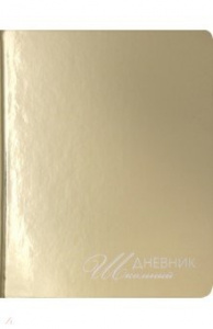 ДНЕВНИК УНИВЕРСАЛЬНЫЙ "MIRRORS" ДНЕВНИК УНИВЕРСАЛЬНЫЙ "MIRRORS"