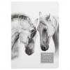 ЗАПИСНАЯ КН СКЕТЧБУК А5 40Л АКВА-КОЛОР ОФСЕТНАЯ БУМ 200Г/М2 7БЦ HORSES IN WHITE
