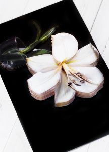 ПАПЕРТОЛЬ PAPERLOVE БЕЛАЯ ЛИЛИЯ 9*14СМ