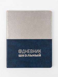 ДНЕВНИК УНИВЕРСАЛЬНЫЙ "ПЛАТИНА" СИНИЙ