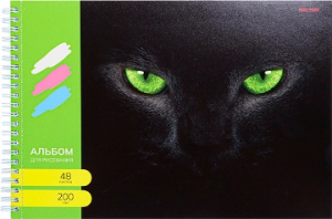 АЛЬБОМ ДЛЯ РИСОВАНИЯ НА ГРЕБНЕ А4 48Л "ЧЁРНАЯ КОШКА"