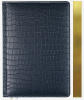 ЕЖЕДНЕВНИК A5 2025 168Л "VISA" ЧЕРНЫЙ