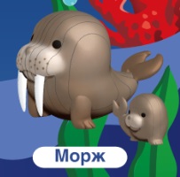 ПАЗЛЫ 3D "ОКЕАН: МОРЖ"