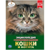 КНИГА ЭНЦИКЛОПЕДИЯ "КОШКИ И КОТЯТА"